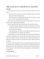 tiểu luận xử lý ảnh số xử lý ảnh màu