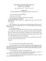 Báo cáo sáng kiến kinh nghiệm 2013