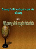 Bài 41 địa lý 10