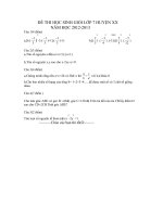 Đề thi học sinh giỏi lớp 7 huyên XX năm 2012-2013