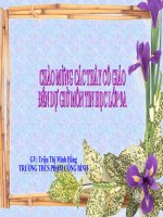 Bài thực hành Tin 7