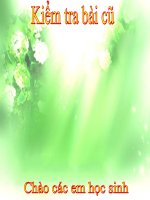 Bài 44 Sinh sản vô tính ở động vật (NC)