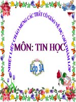 sao chep tu mau co san