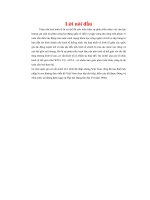 ĐỀ TÀI: Thực trạng hội nhập kinh tế quốc tế của việt nam, quan điểm có tính chỉ đạo và giải pháp thực hiện