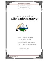 tiểu luận môn lập trình mạng viết chương trình cài đặt thuật toán sẵp xếp theo  kiểu đóng dấu