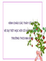 Tính chất giao điểm của 2 tiếp tuyến