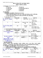 ĐỀ CƯƠNG ÔN TẬP HỌC KÌ 2 TIẾNG ANH 6