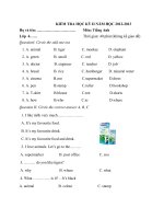 Đề kiểm tra học kì II - Tiếng Anh 4
