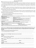 6 đề ôn TV 4 cuối kì 2