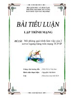 tiểu luận môn lập trình mạng mô phỏng quá trình làm việc của 2  tcp ip