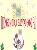 Ê-mi-li-con Tập đọc lớp 5 Tín