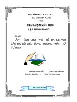 tiểu luận môn lập trình mạng lập trình cho phép hệ đa server gắn bó dữ liệu bằng phương pháp trật tự hóa