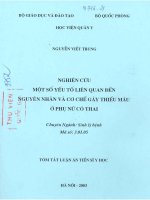 Nghiên cứu một số yếu tố liên quan đến nguyên nhân và cơ chế gây thiếu máu ở phụ nữ có thai