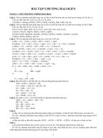 Bài Tập Chương Halogen
