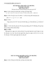 Đề thi học sinh giỏi môn toán lớp 5