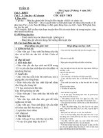 tuan 33 chuan kien thuc nam 2013