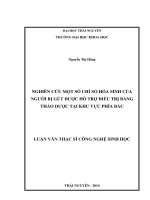 Nghiên cứu một số chỉ số hóa sinh của người bị gút được hỗ trợ điều trị bằng thảo dược tại khu vực phía bắc