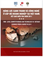 năng lực cạnh tranh và công nghệ ở cấp độ doanh nghiệp tại việt nam kết quả điều tra năm 2011