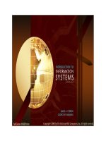 các hệ thống thương mại điện tử