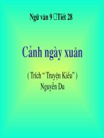 Bai Canh Ngay Xuan