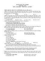 Đề thi thử tốt nghiệp 2013