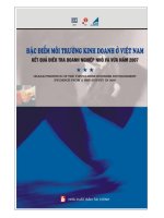 đặc điểm môi trường kinh doanh ở việt nam kết quả điều tra doanh nghiệp nhỏ và vừa năm 2007