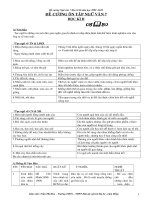 ÔN TAP NGU VAN 7 HKII