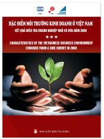 đặc điểm môi trường kinh doanh ở việt nam kết quả điều tra doanh nghiệp nhỏ và vừa năm 2009