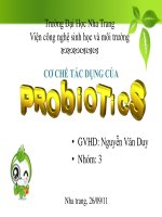 cơ chế tác dụng của probiotics
