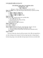 Đề thi học sinh giỏi môn Tiếng Việt lớp 5