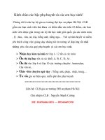 CLB gia sư trường ĐH sư phạm Hà Nội