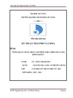 tổng quan về đa truy cập phân chia theo mã và đa sóng mang