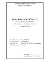 MAU PHIEU DIEU TRA PEMIS- LY LICH CONG CHUC VIEN CHUC