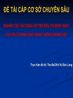 Đề tài cấp cơ sở chuyên sâu