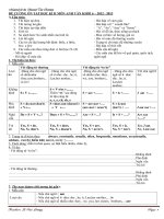 Đề cương ôn thi HKII lớp 6