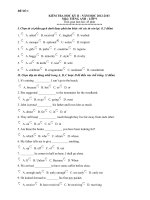 Đề thi HKII lop 9 (Vip)