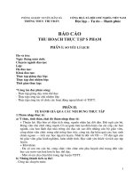 bao cao thuc tap su phạm môn thể dục