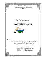 tiểu luận lập trình mạng viết chương trình đảm bảo gắn bó dữ liệu trên các csdl phân tán tại các server