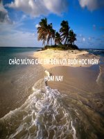 Địa Lý 6_ Bài 27: LỚP VỎ SINH VẬT$