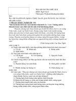 tổng hợp đề HKII văn 6