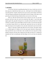 Đề tài quy trình sản xuất nước chanh dây lên men