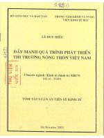 Đẩy mạnh quá trình phát triển thị trường nông thôn việt nam
