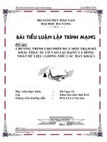 tiểu luận lập trình mạng chương trình cho phép đưa một trạm đã khắc phục sự cố vào lại mạng và đồng nhất dữ liệu