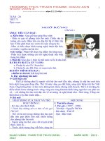 GIÁO ÁN NGỮ VĂN 8 - HKII