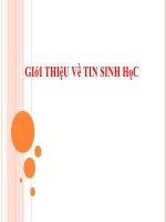 Giới thiệu về tin sinh học