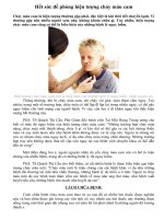 Chữa bệnh chảy máu cam