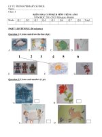 đê kiểm tra anh 3 cuối năm -chương trình mới