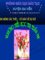 Tập đọc Tuổi Ngựa