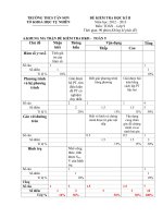 Đề kiểm tra học kỳ II toán 9(có ma trận)