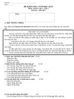 ĐỀ KIỂM TRA TOÁN + TIẾNG VIỆT LỚP 3